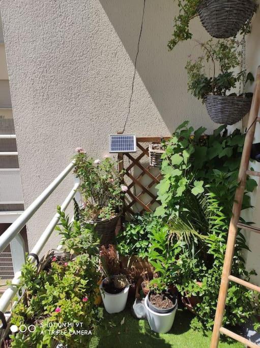 Cosy Et Calme Apartment